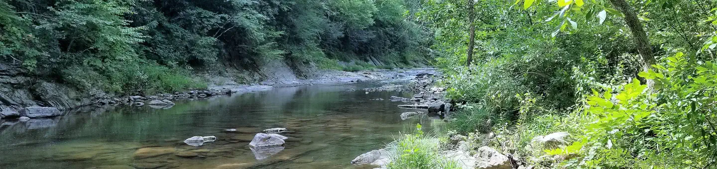STEEL BRIDGE CAMPGROUND photo