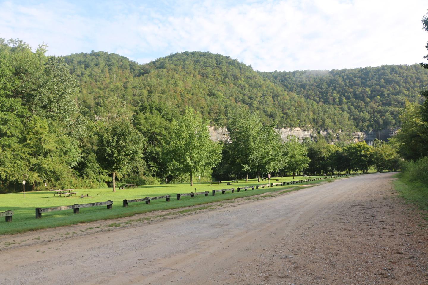Steel Creek Campground photo 4