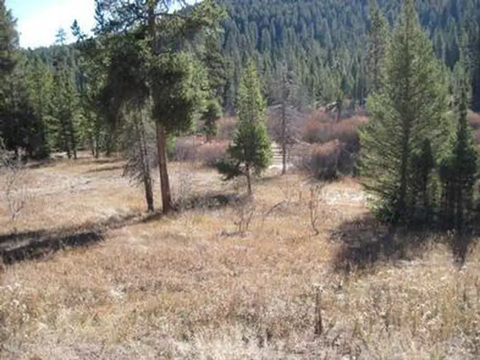 STEEL CREEK GROUP CAMPGROUND photo 5