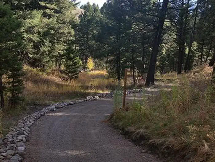 STODDARD CREEK CAMPGROUND photo 2