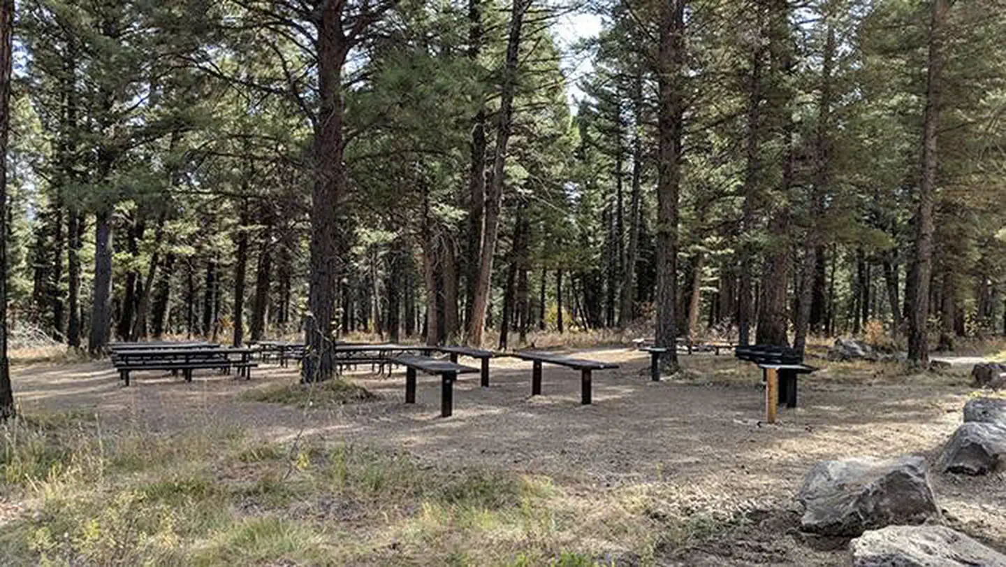 STODDARD CREEK CAMPGROUND photo 3