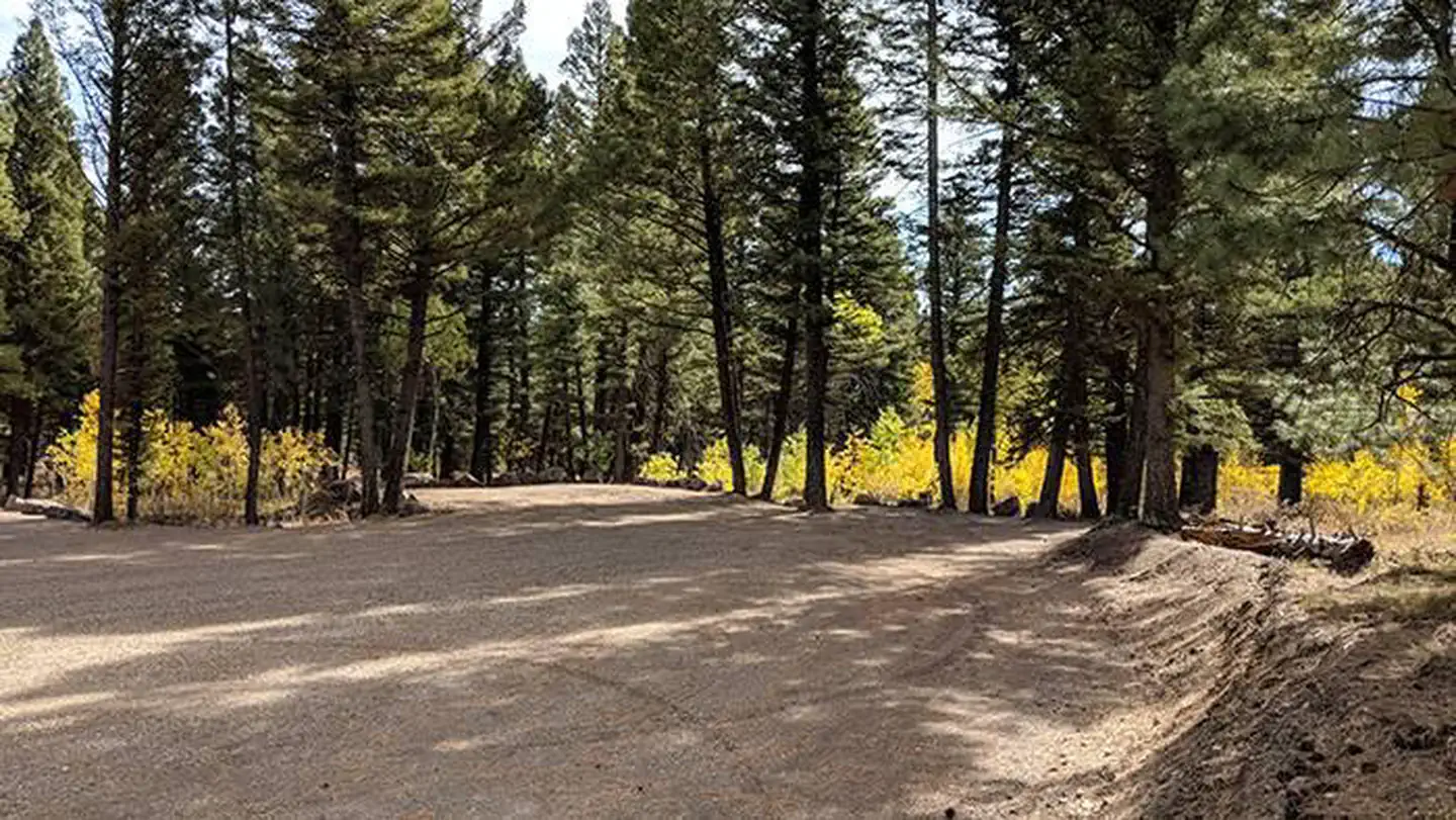 STODDARD CREEK CAMPGROUND photo 4