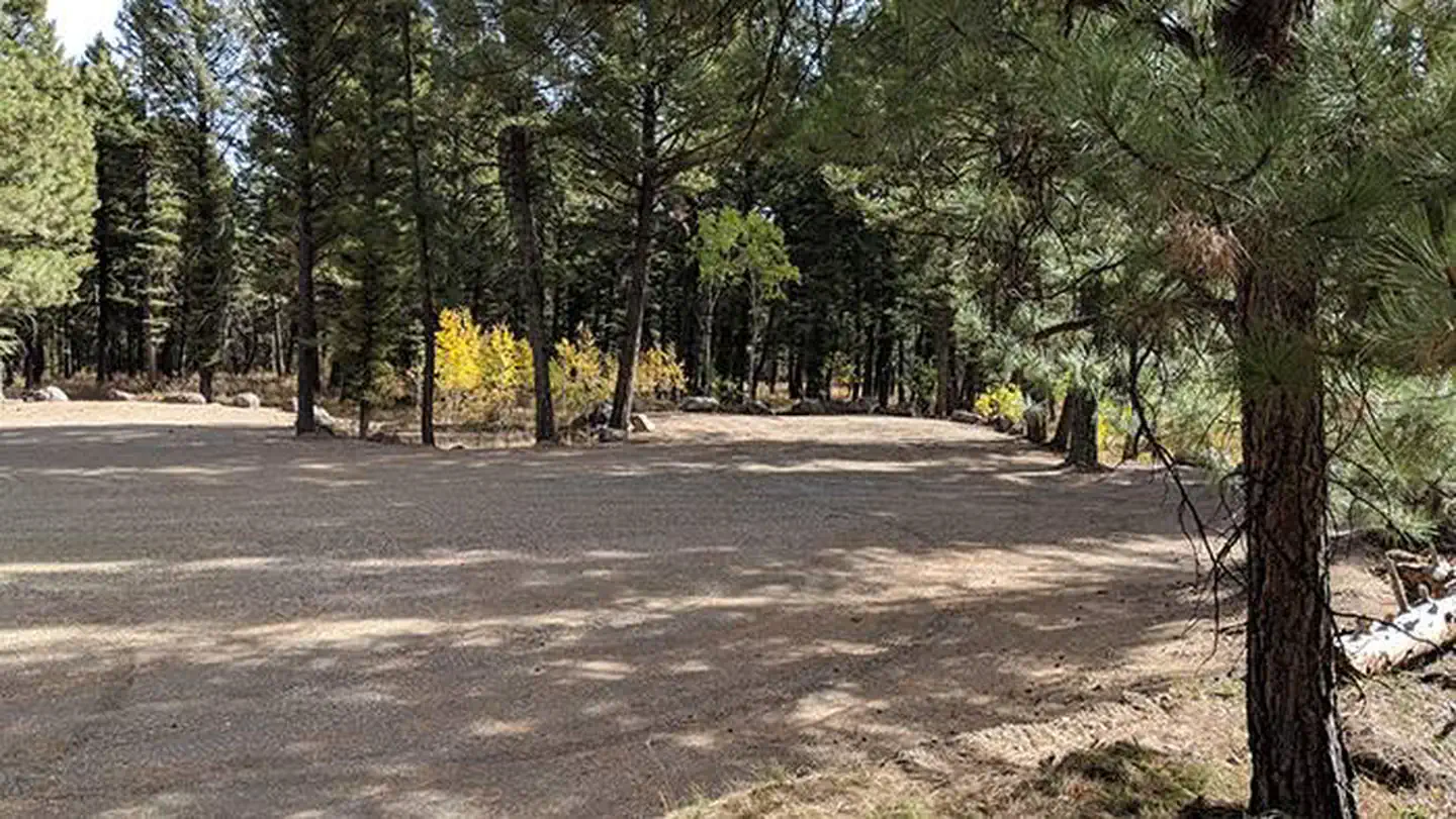 STODDARD CREEK CAMPGROUND photo 5