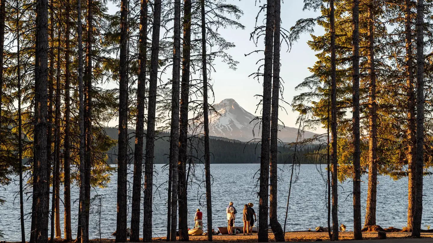 Stone Creek Campground (Timothy Lake, OR) photo