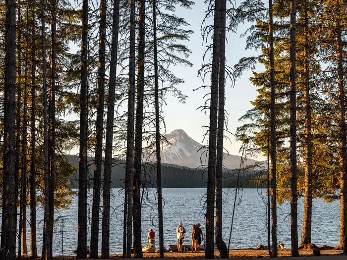 Stone Creek Campground (Timothy Lake, OR) photo 3
