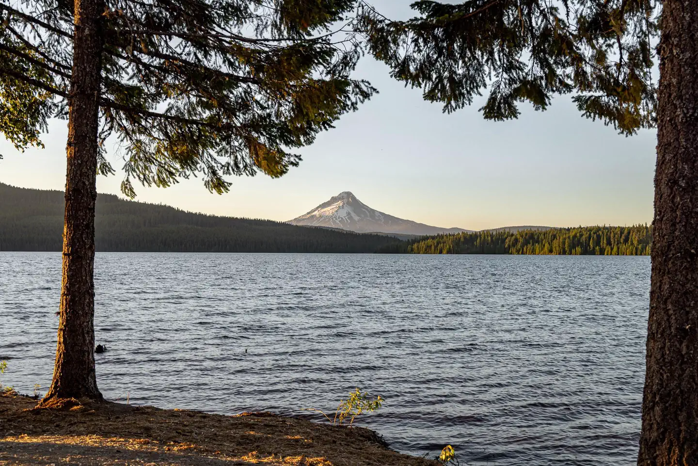 Stone Creek Campground (Timothy Lake, OR) photo 4