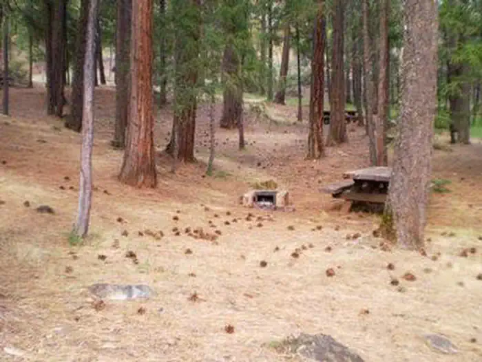 STONEY GROUP SHASTA-TRINITY photo