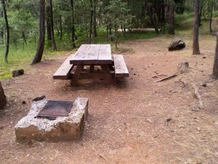 STONEY GROUP SHASTA-TRINITY photo 3