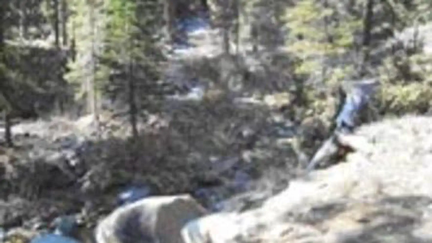 STONY CREEK SEQUOIA photo 3
