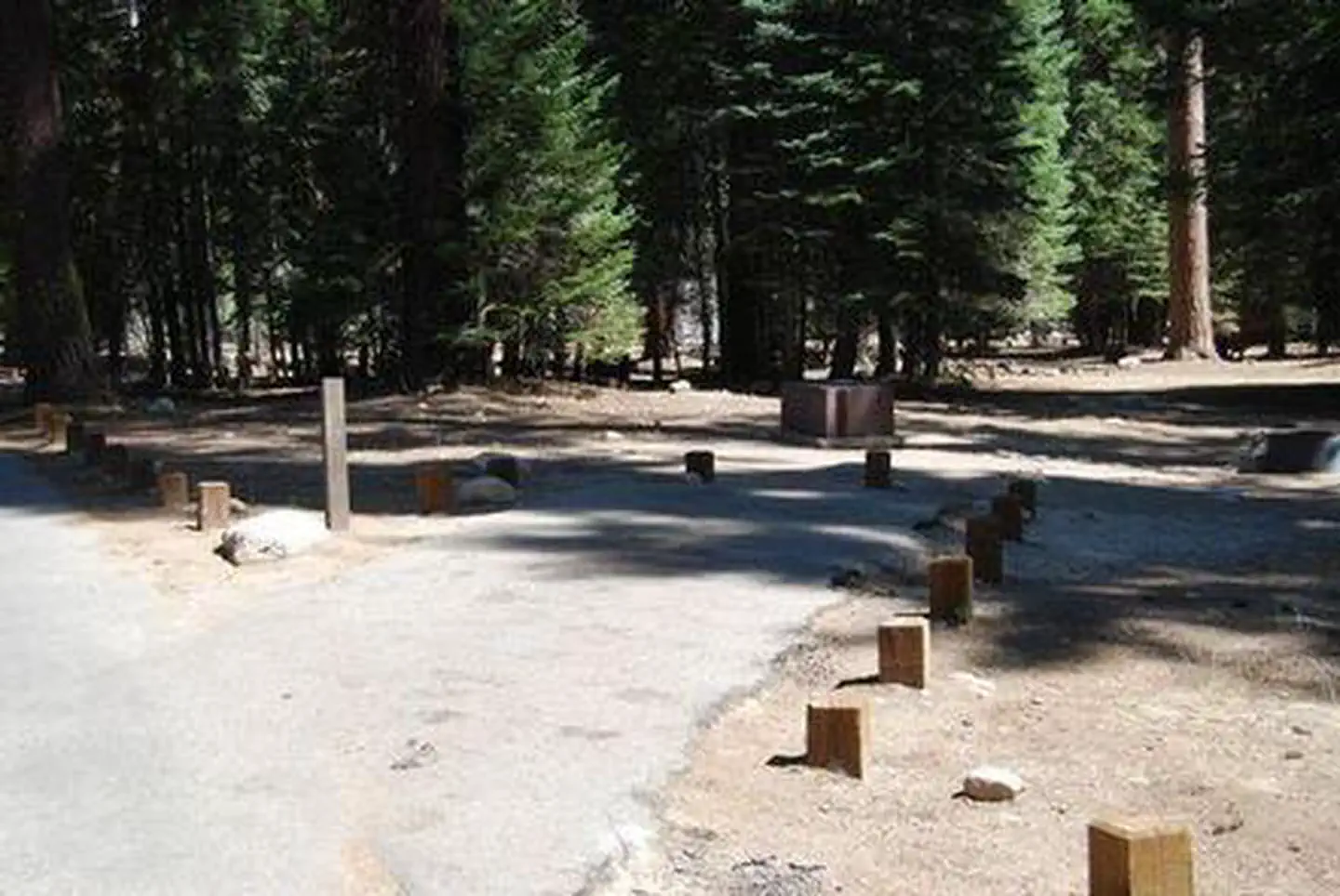 STONY CREEK SEQUOIA photo 4