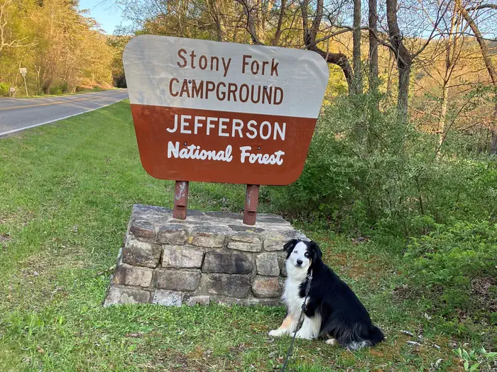 STONY FORK CAMPGROUND photo 3