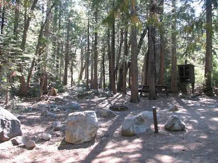 STUMPY MEADOWS photo