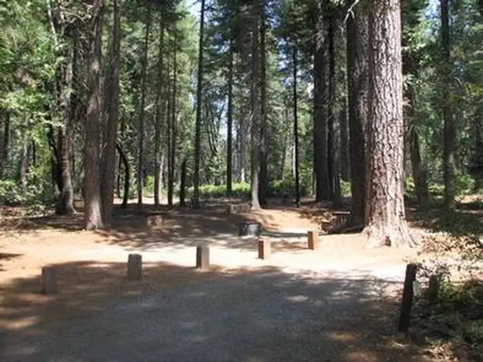 STUMPY MEADOWS photo 2