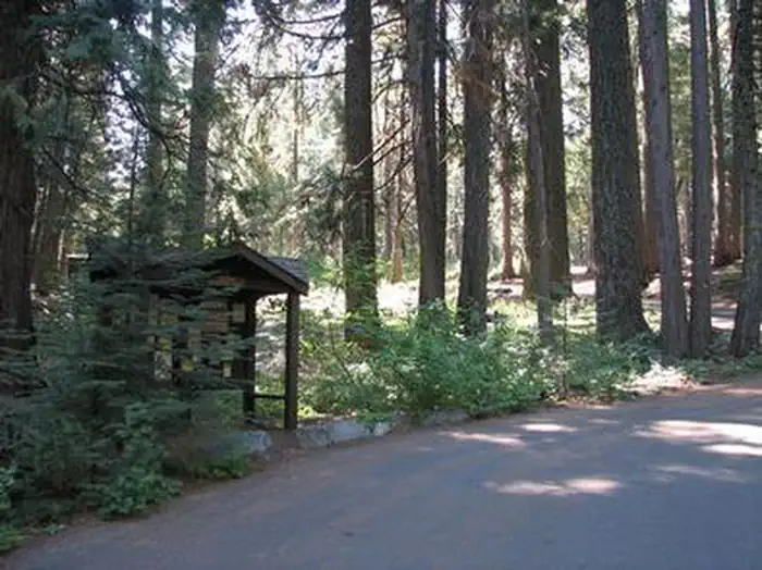 STUMPY MEADOWS photo 4