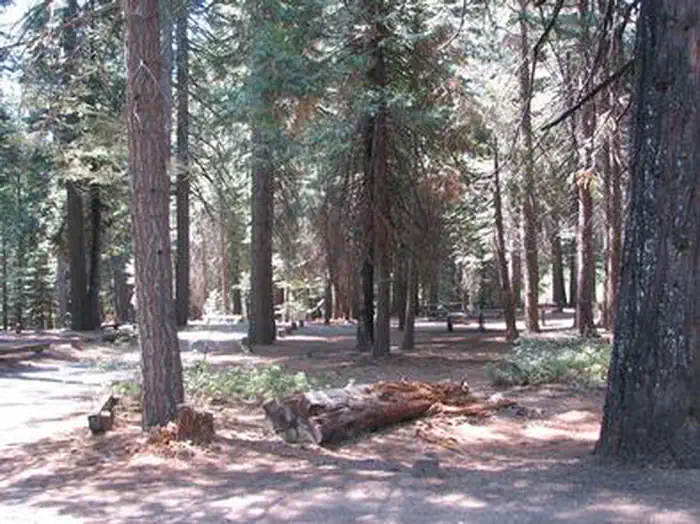 STUMPY MEADOWS photo 5