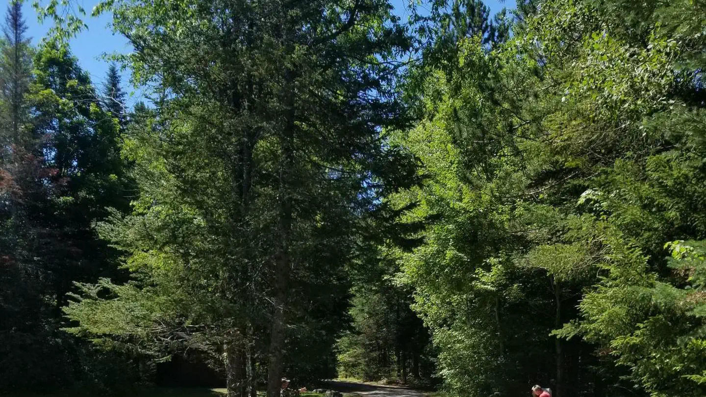 SUGARLOAF 2 CAMPGROUND photo
