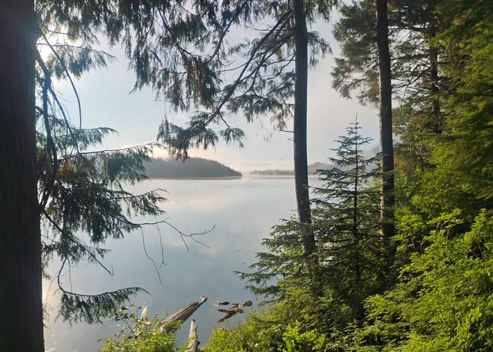 SULOIA LAKE CABIN photo 4