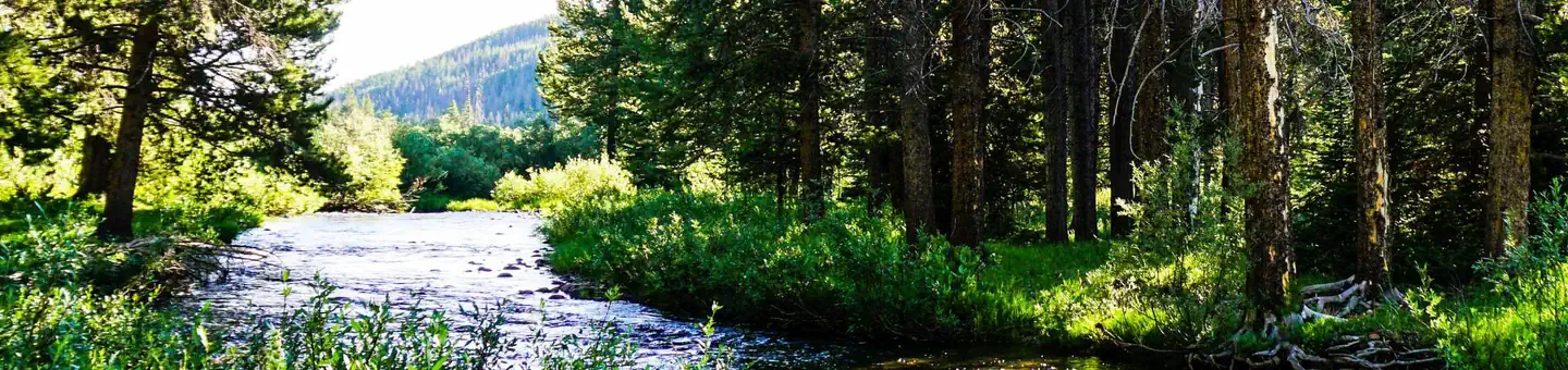SULPHUR CAMPGROUND photo