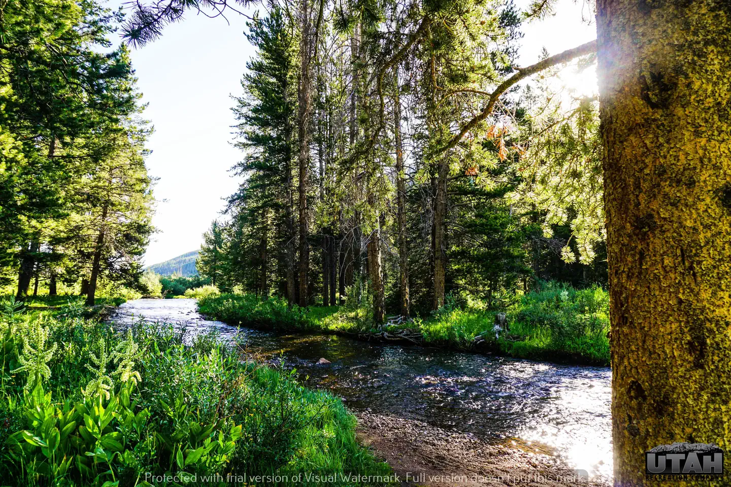 SULPHUR CAMPGROUND photo 2