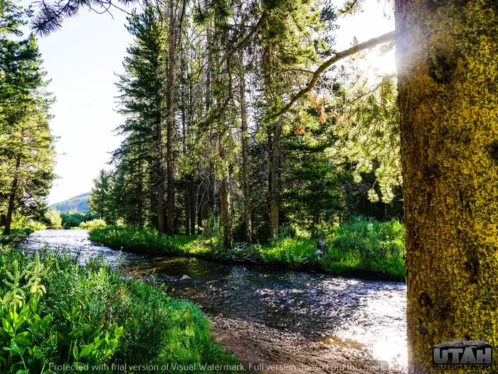 SULPHUR CAMPGROUND photo 5