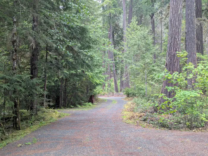 Sulphur Creek Campground photo 2