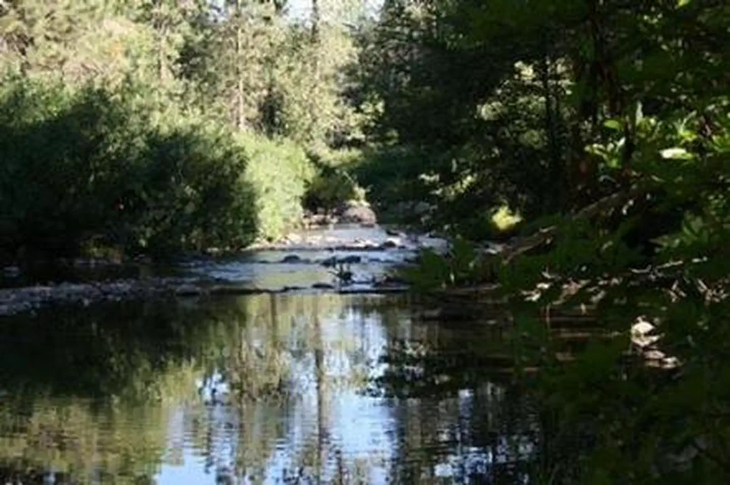 SUMMERDALE CAMPGROUND photo