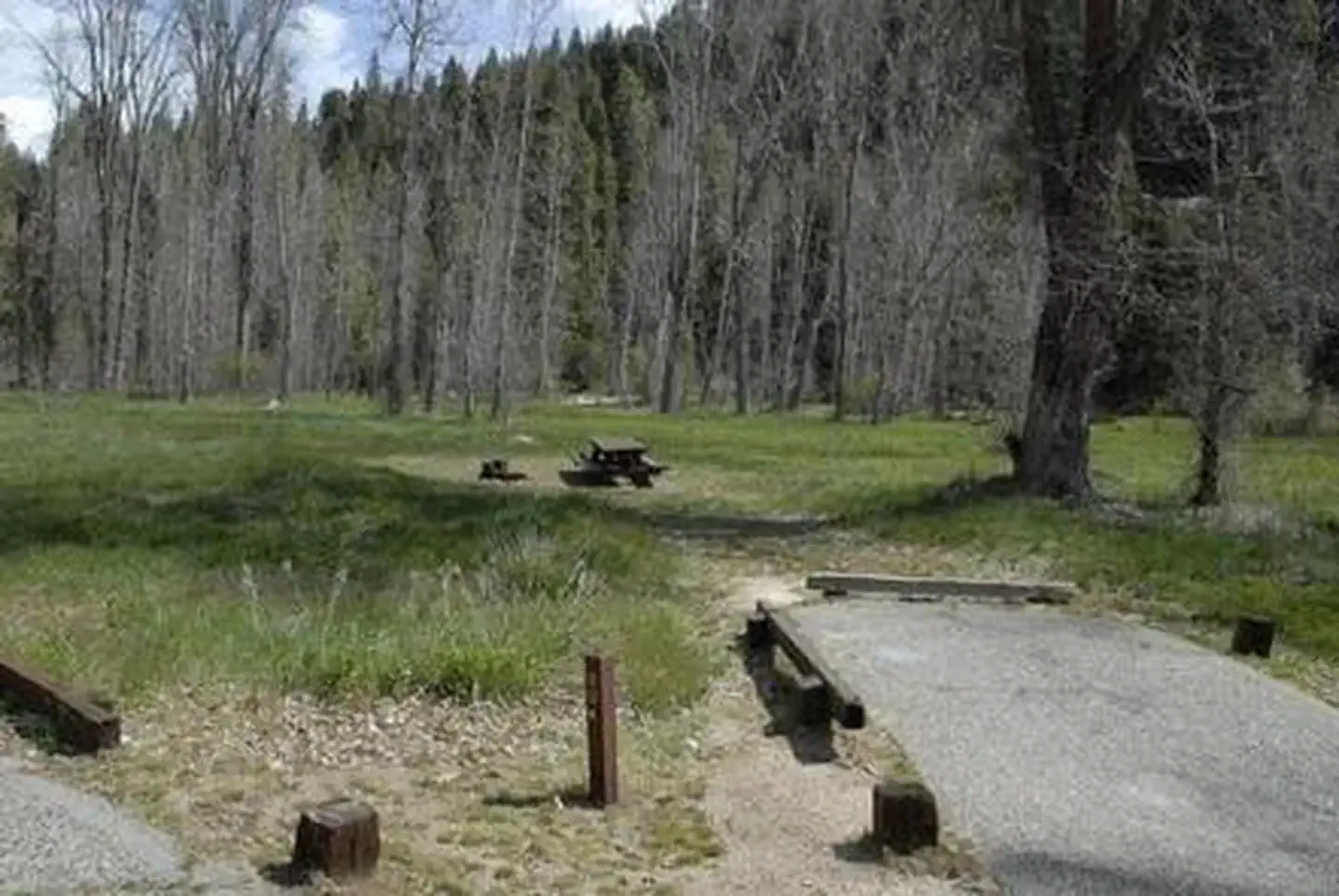 SUMMERDALE CAMPGROUND photo 2