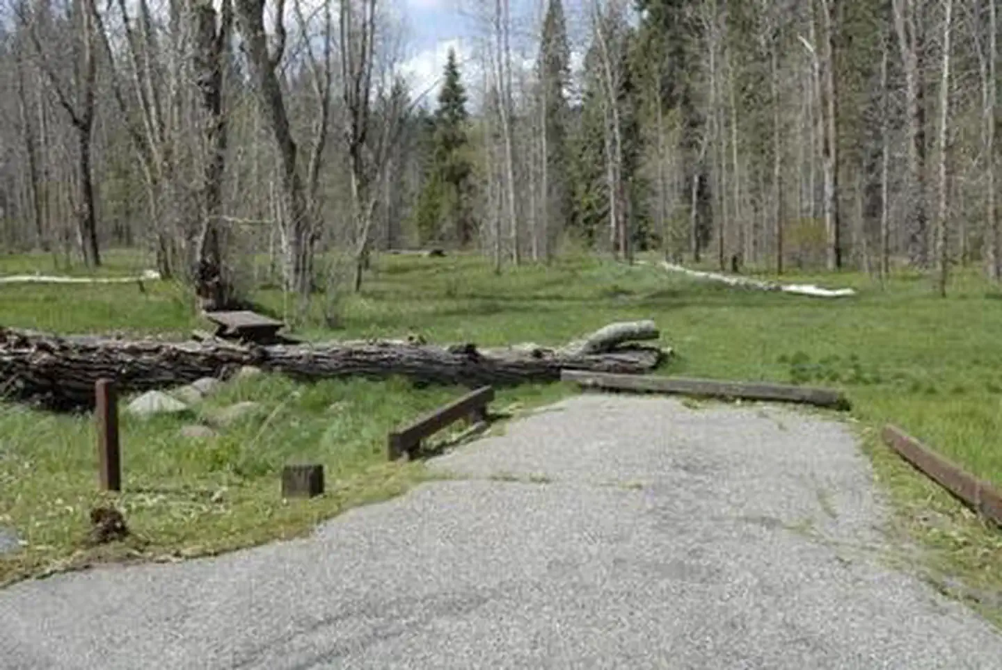 SUMMERDALE CAMPGROUND photo 3