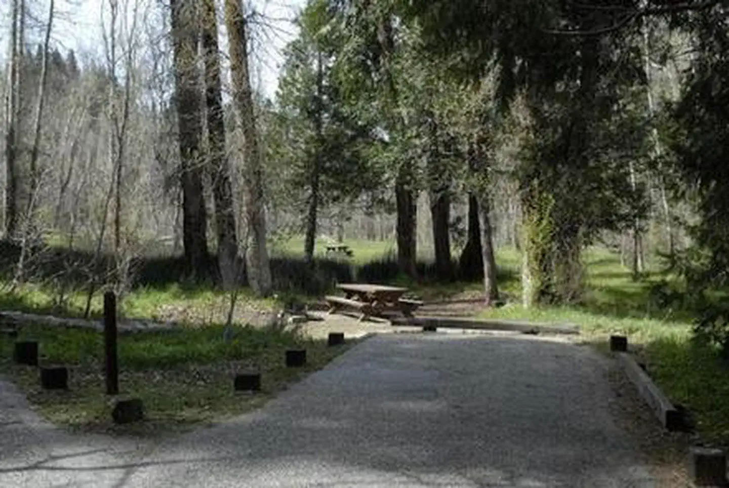 SUMMERDALE CAMPGROUND photo 5
