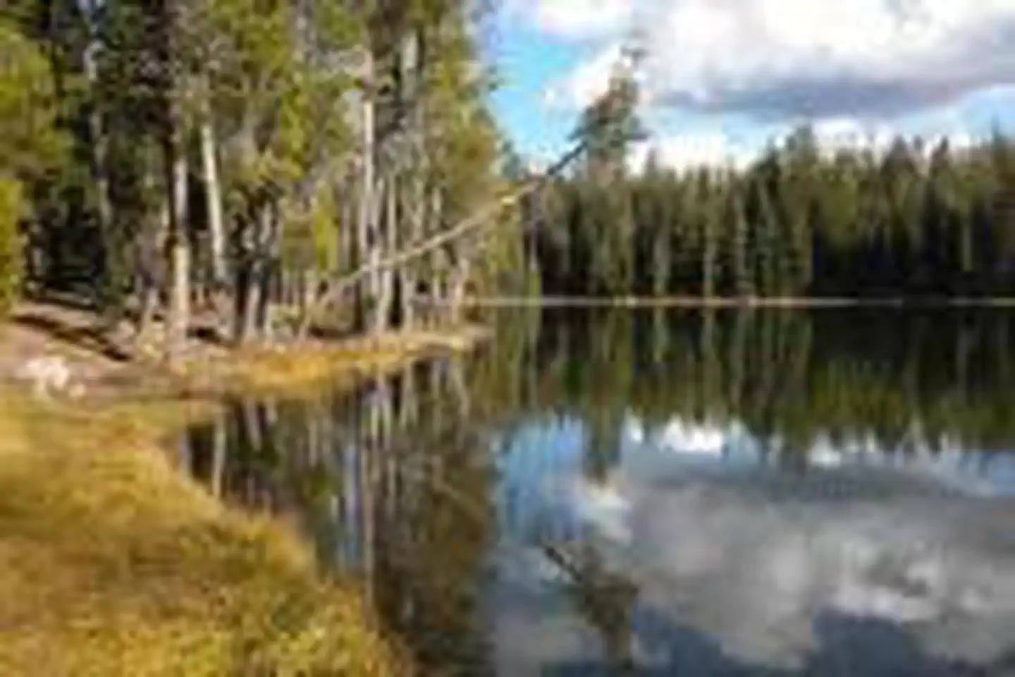 SUMMIT LAKE NORTH photo 2