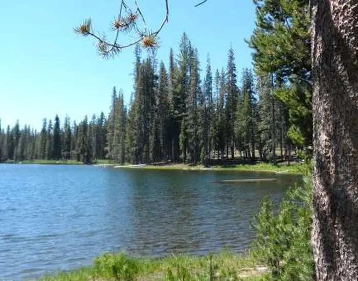SUMMIT LAKE SOUTH photo 2