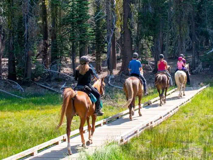 SUMMIT LAKE STOCK CORRAL photo 3