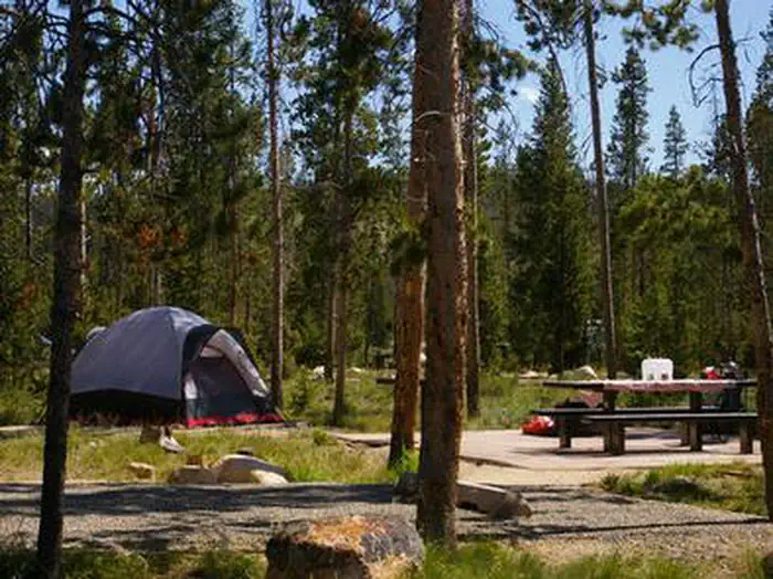SUNNY GULCH CAMPGROUND photo 5