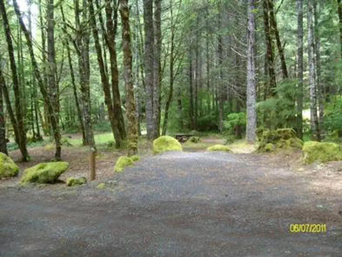SUNNYSIDE CAMPGROUND photo 3