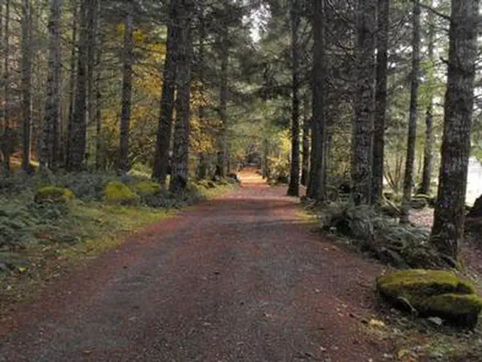 SUNNYSIDE CAMPGROUND photo 4