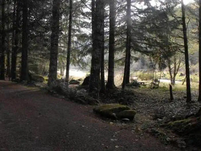 SUNNYSIDE CAMPGROUND photo 5