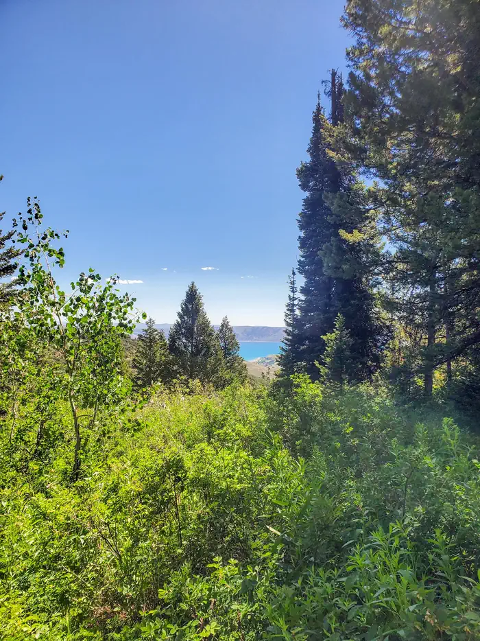 SUNRISE CAMPGROUND photo