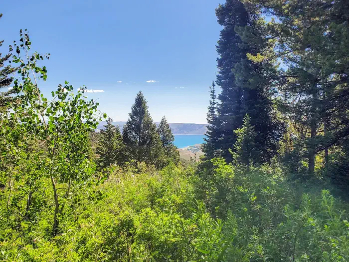 SUNRISE CAMPGROUND photo 2
