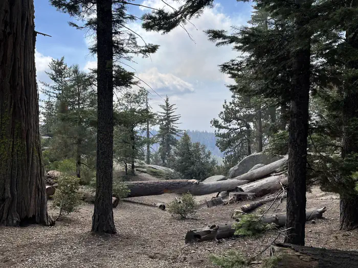 SUNSET CAMPGROUND (CA) photo 2