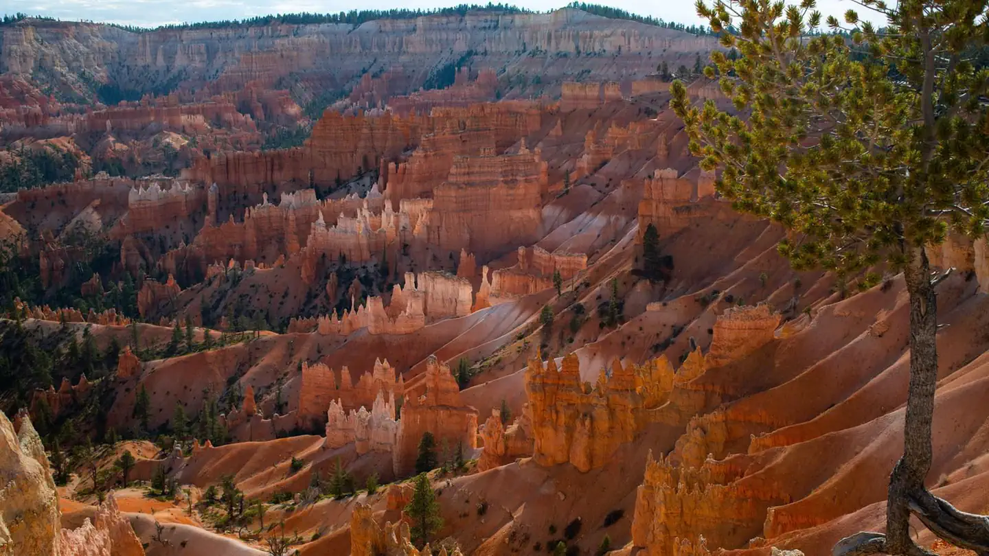 Sunset Campground (UT) photo