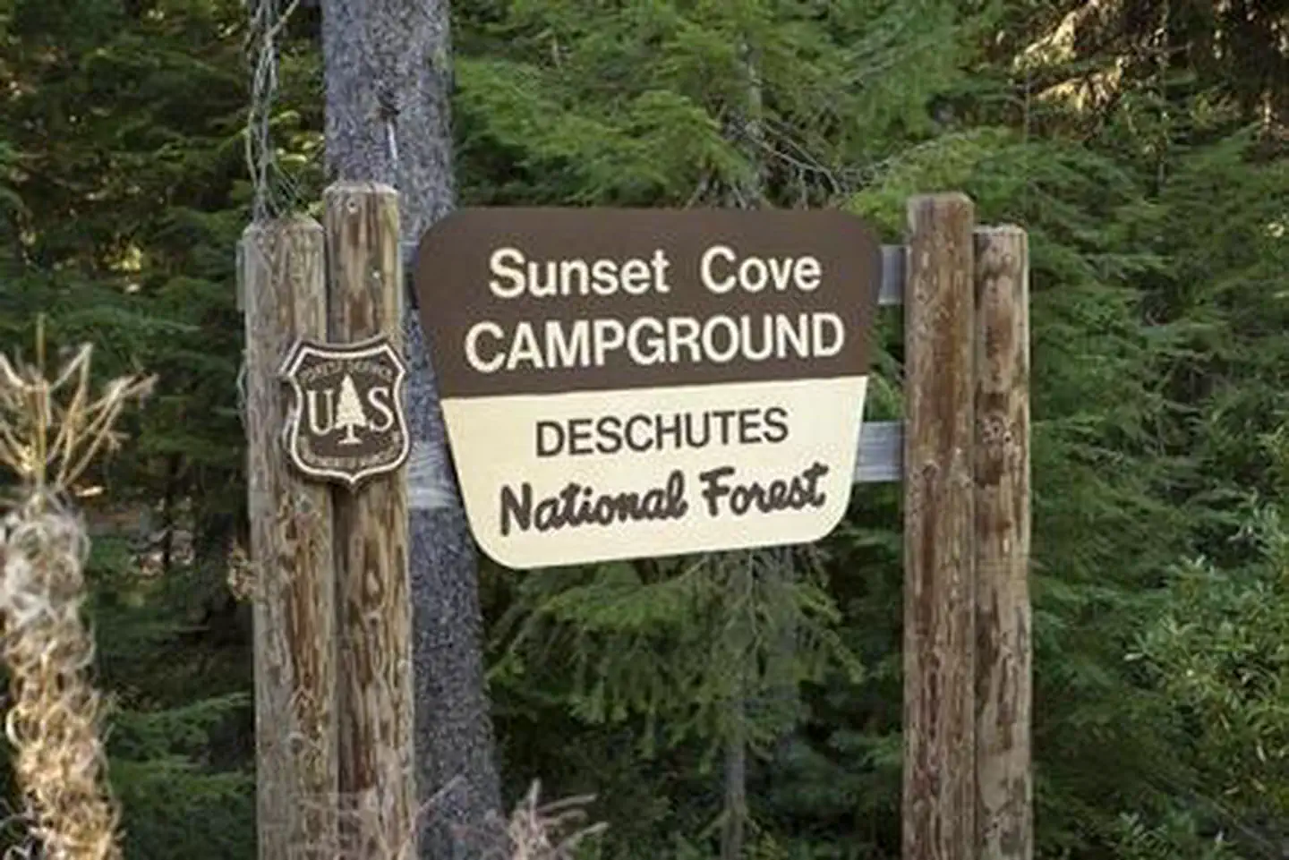 SUNSET COVE CAMPGROUND photo 2