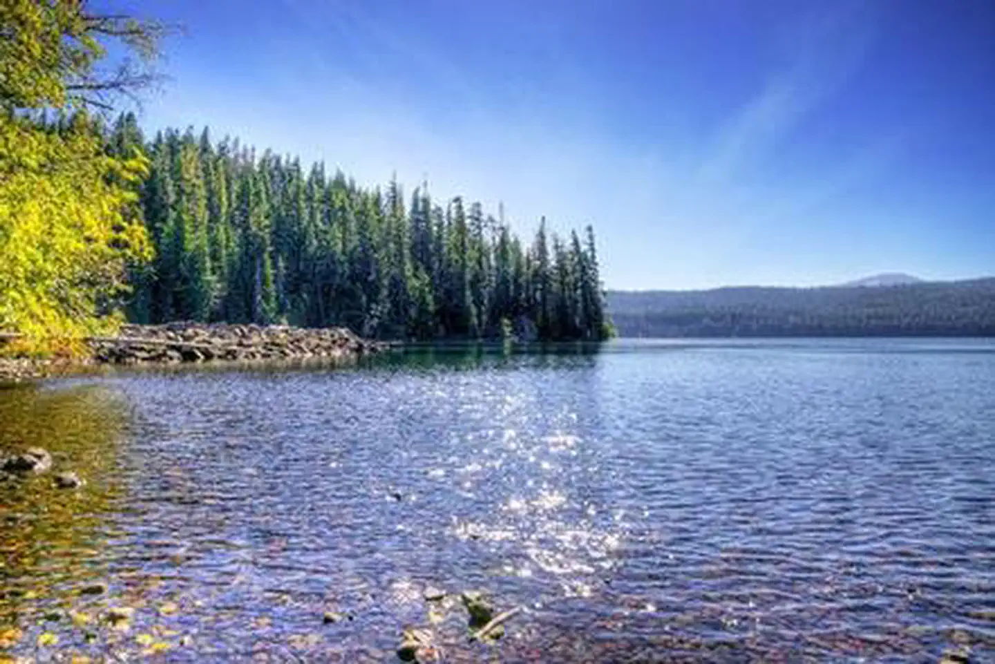 SUNSET COVE CAMPGROUND photo 3