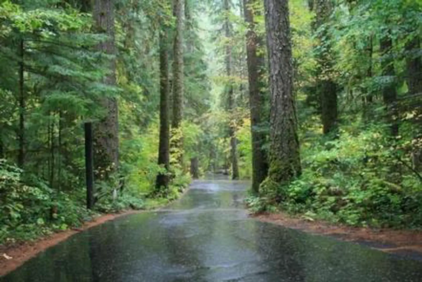 Susan Creek Campground photo 3
