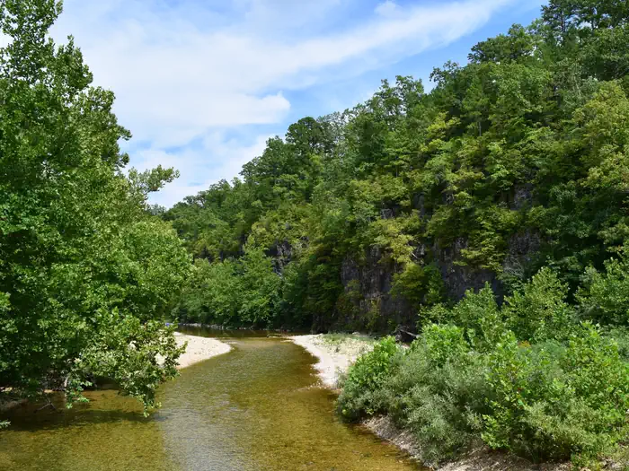 SUTTON BLUFF RECREATION AREA photo 2