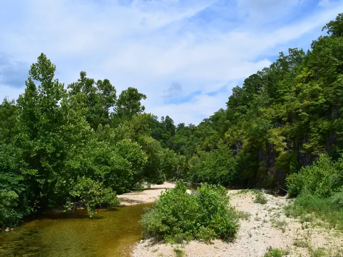SUTTON BLUFF RECREATION AREA photo 5