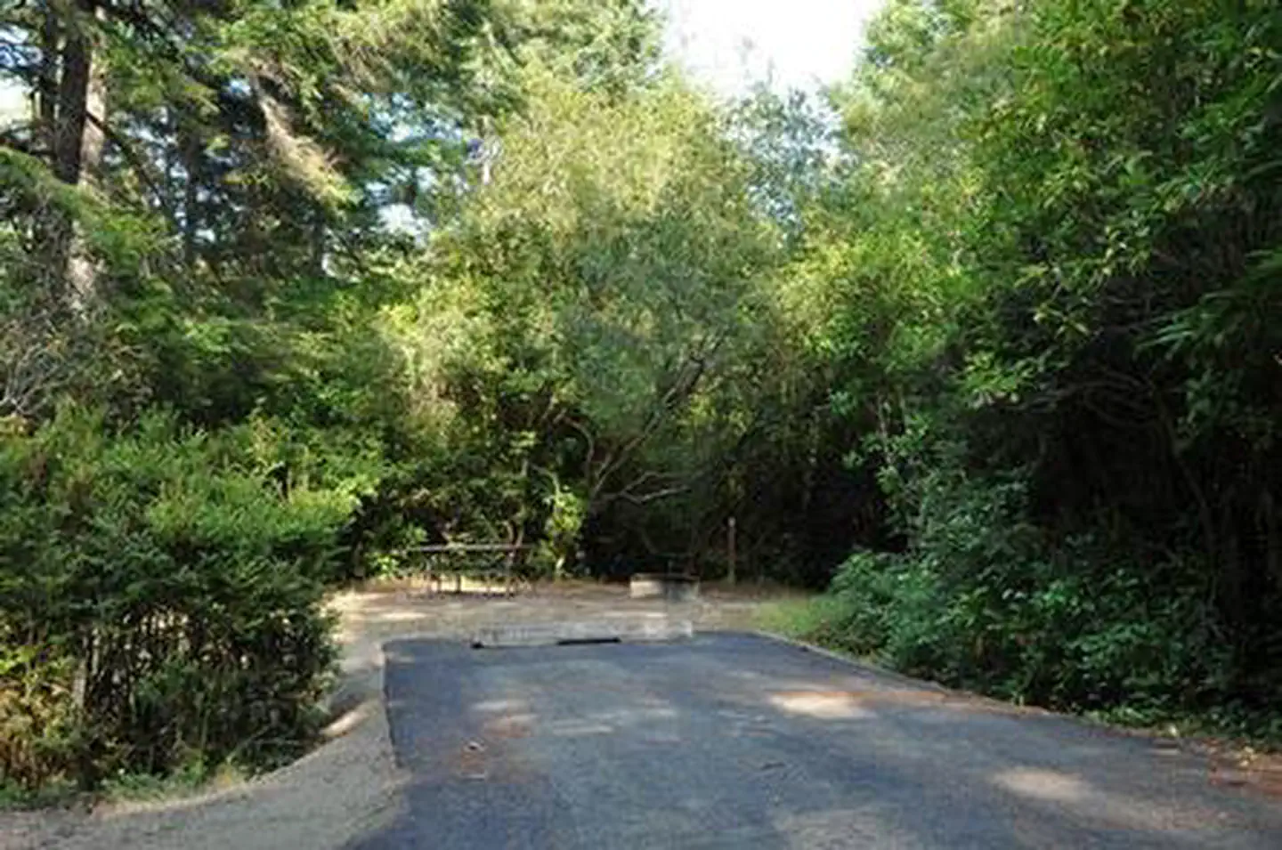 SUTTON CAMPGROUND photo