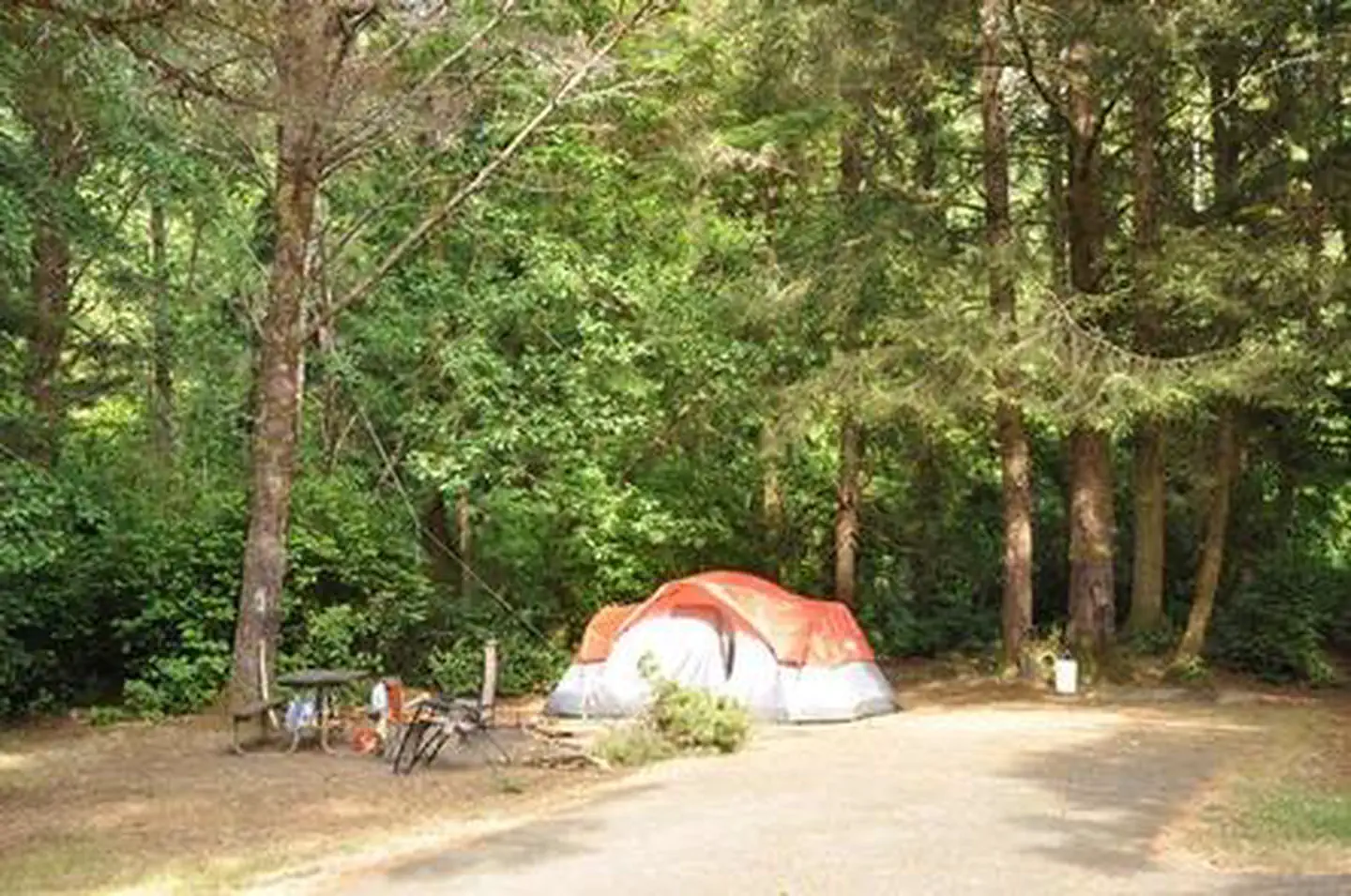 SUTTON CAMPGROUND photo 2