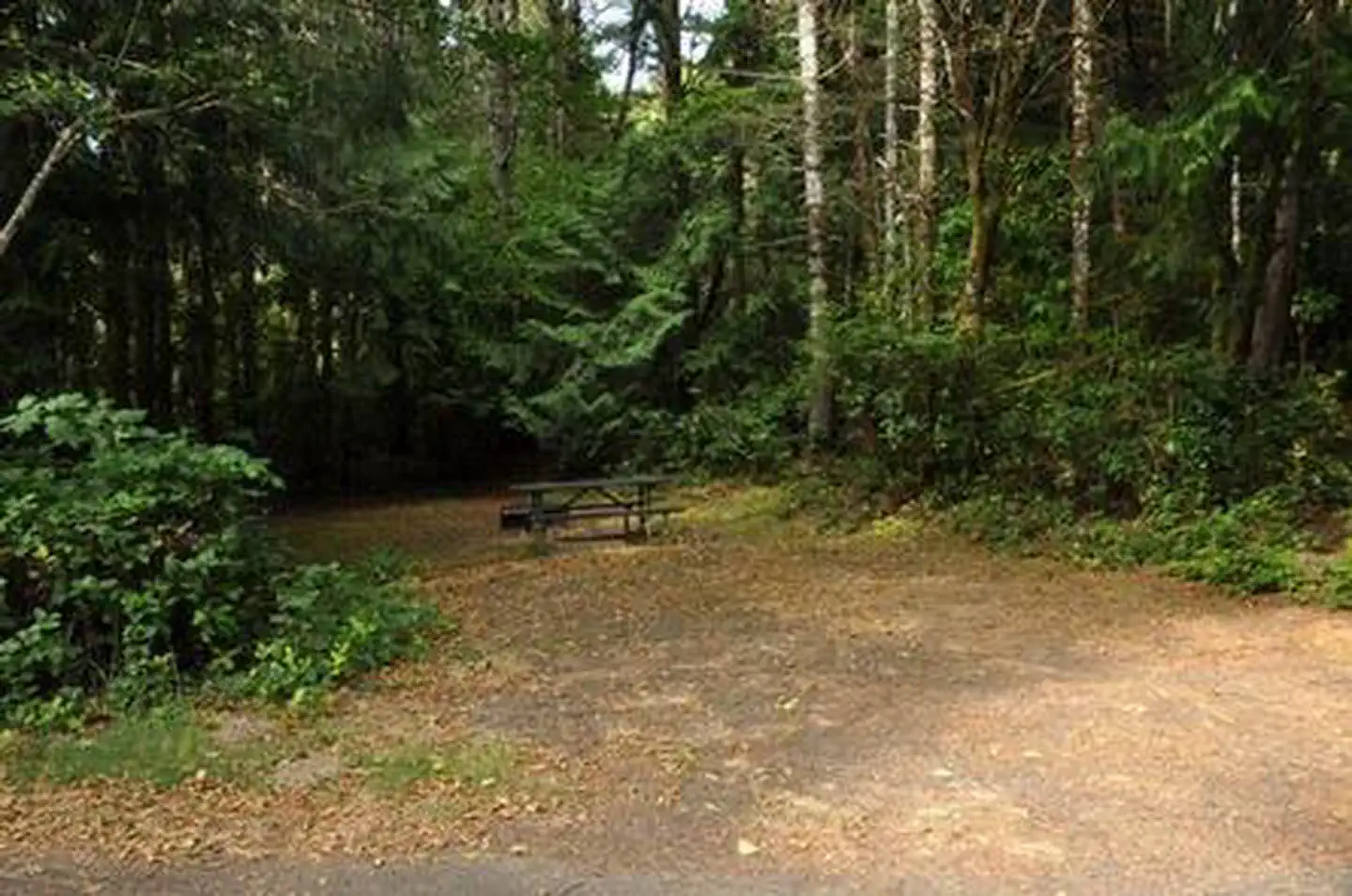 SUTTON CAMPGROUND photo 3