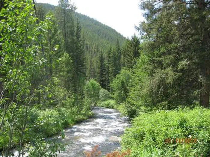 SWAN CREEK CAMPGROUND photo
