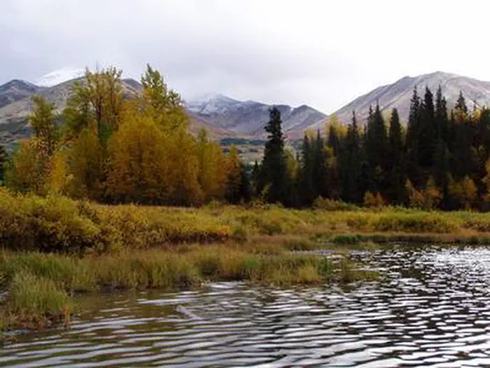 SWAN LAKE CABIN SEWARD photo 5